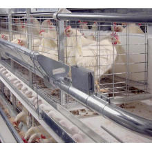 Hot Sale Layer Battery Chicken Cage for Egg